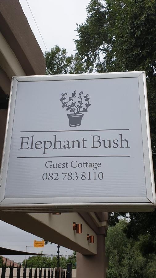 Elephant Bush Guest Cottage อัลเบอร์ตัน ภายนอก รูปภาพ